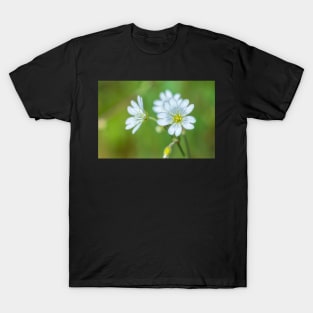 Field Chickweed T-Shirt